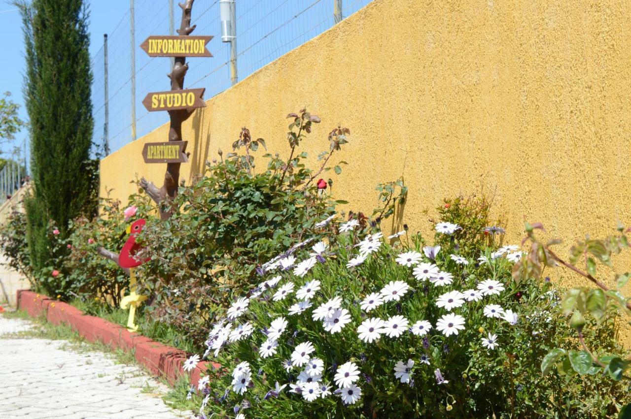 Acqui Villa Argostolion Dış mekan fotoğraf