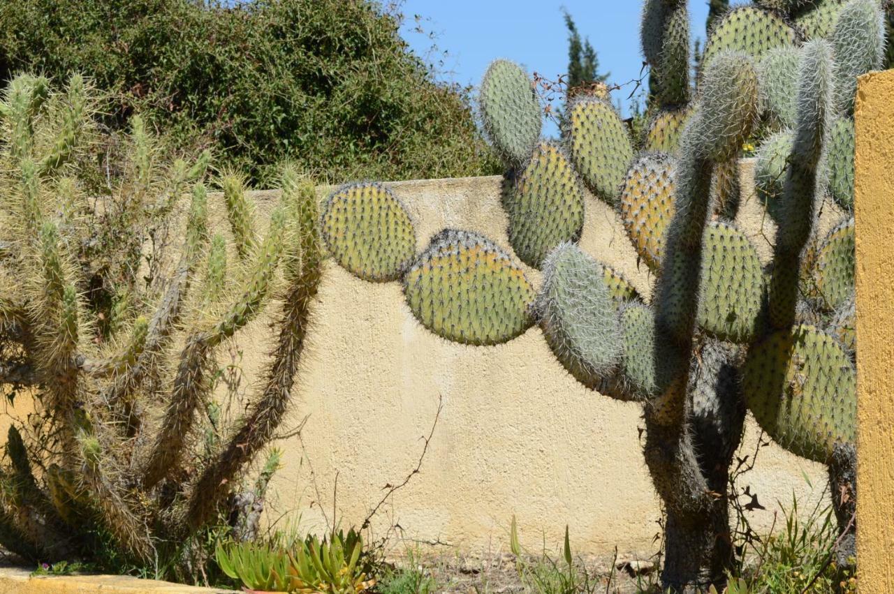 Acqui Villa Argostolion Dış mekan fotoğraf